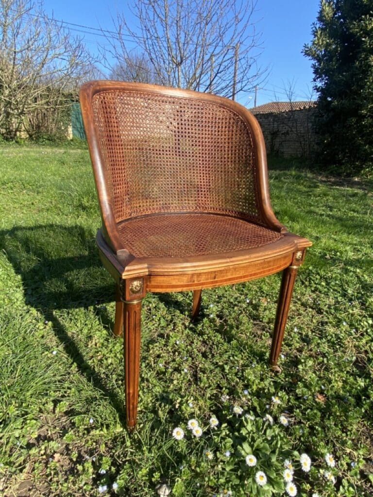 fauteuil canné